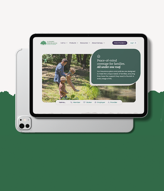 Reimagining Canopy's Website